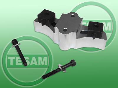 Ilustracja TSM S0001840 TESAM
